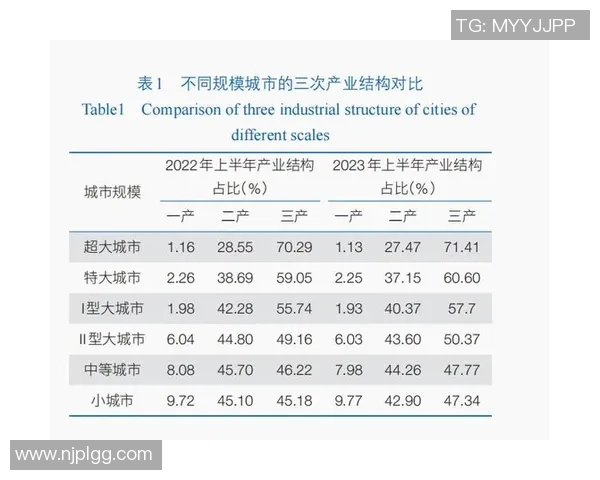 成都滑板队状态分析与表现评估：数据透视与未来发展展望